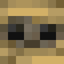 Image for _Vane_ Minecraft Player