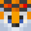 Image for ____Tails____ Minecraft Player