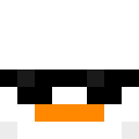 Image for _____DUCK______ Minecraft Player