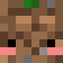 Image for _cantaloupe_ Minecraft Player