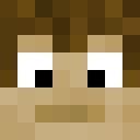 Image for _noto Minecraft Player