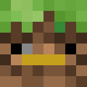 Image for _quackyduck_ Minecraft Player