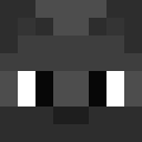 Image for aSilverFox Minecraft Player