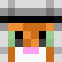 Image for agentcatguy Minecraft Player