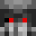 Image for akaP0wer Minecraft Player