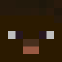 Image for anime_pvp Minecraft Player