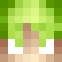 Image for artir Minecraft Player