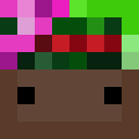 Image for bagniaczek Minecraft Player