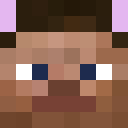 Image for bbcz Minecraft Player