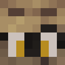 Image for bbucket Minecraft Player