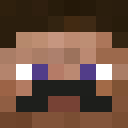 Image for bfip Minecraft Player