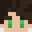 Image for bile_ Minecraft Player