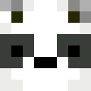 Image for binja321 Minecraft Player