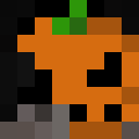 Image for bird1 Minecraft Player