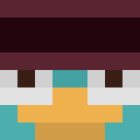 Image for birsy Minecraft Player