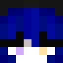 Image for bluehairs Minecraft Player