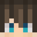 Image for brar Minecraft Player