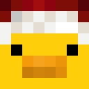 Image for broken_duck Minecraft Player