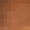 Image for brownricefarmer Minecraft Player