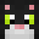 Image for catboyrain Minecraft Player