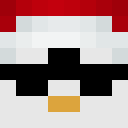 Image for christmasgamer Minecraft Player