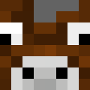 Image for cooooow Minecraft Player