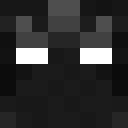 Image for copye Minecraft Player