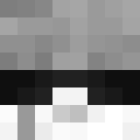 Image for correctors Minecraft Player