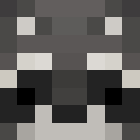 Image for desidratado Minecraft Player