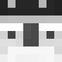 Image for dignitys Minecraft Player