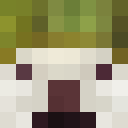 Image for doggomelon Minecraft Player