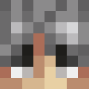 Image for domiwesh Minecraft Player