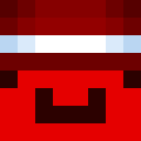 Image for dubot_gamer Minecraft Player