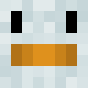 Image for duckperson Minecraft Player