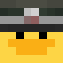 Image for duckze Minecraft Player