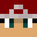 Image for entchi Minecraft Player