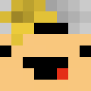 Image for erik_sk Minecraft Player