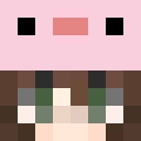 Image for fancy_Axolotl Minecraft Player