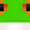 Image for froggyttv Minecraft Player