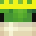 Image for frogly1 Minecraft Player