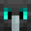 Image for funkymohendo Minecraft Player