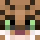 Image for genets Minecraft Player