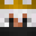 Image for gesiegt72 Minecraft Player