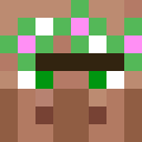 Image for getdroped Minecraft Player