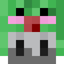Image for gisc Minecraft Player