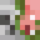 Image for glypper Minecraft Player