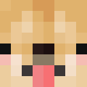 Image for gooci Minecraft Player