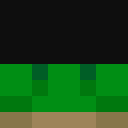 Image for greenteen Minecraft Player