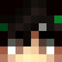 Image for haico Minecraft Player