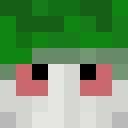 Image for hanfverband Minecraft Player